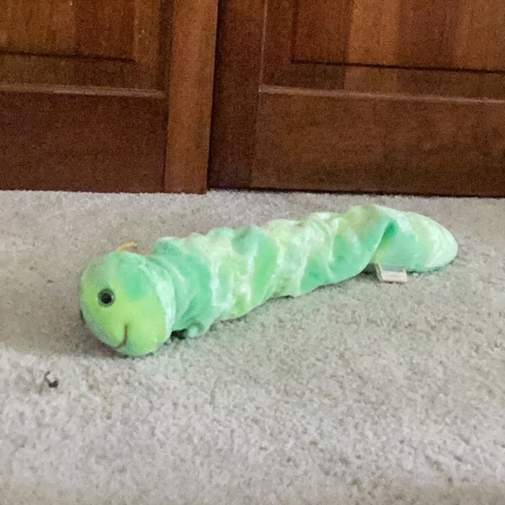 Squirmy worm